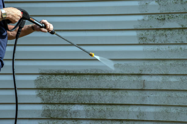 Best Residential Pressure Washing Services  in Greendale, IN