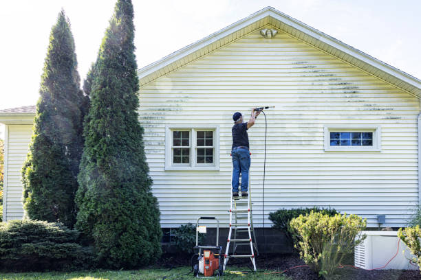 Best Commercial Building Pressure Washing  in Greendale, IN