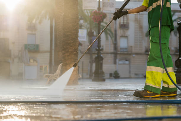 Best Roof Pressure Washing  in Greendale, IN